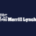 Merril Lynch Diversity Inclusion