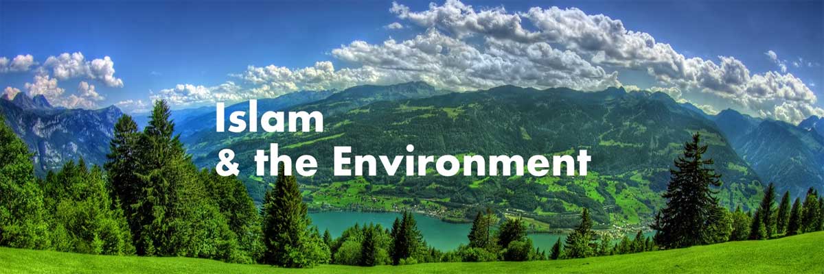 The Environment and Faith