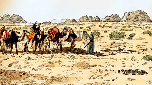 Truthfulness Of A Boy Changes The Robbers Islamicity -