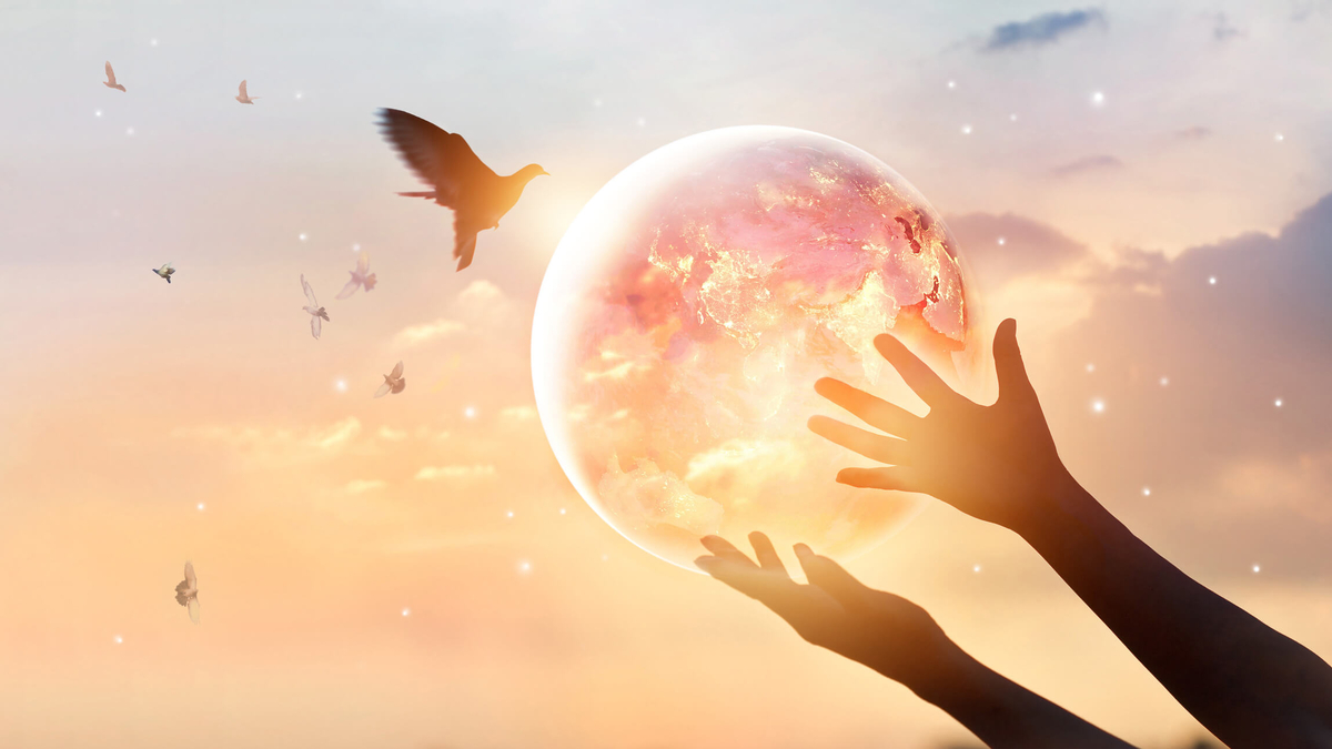 İlahi Işığı Söndürmek İçin Tüm Çabalar Başarısız Olacak