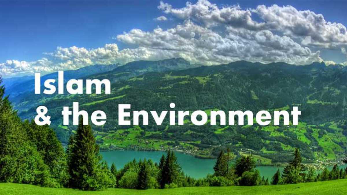 Introduction Of Islam And The Environment