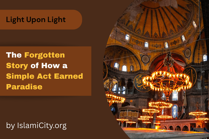 What is the Price of Paradise? - Light Upon Light by IslamiCity - Episode 34