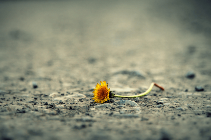 When one breaks a promise or oath to Allah, what is the atonement?