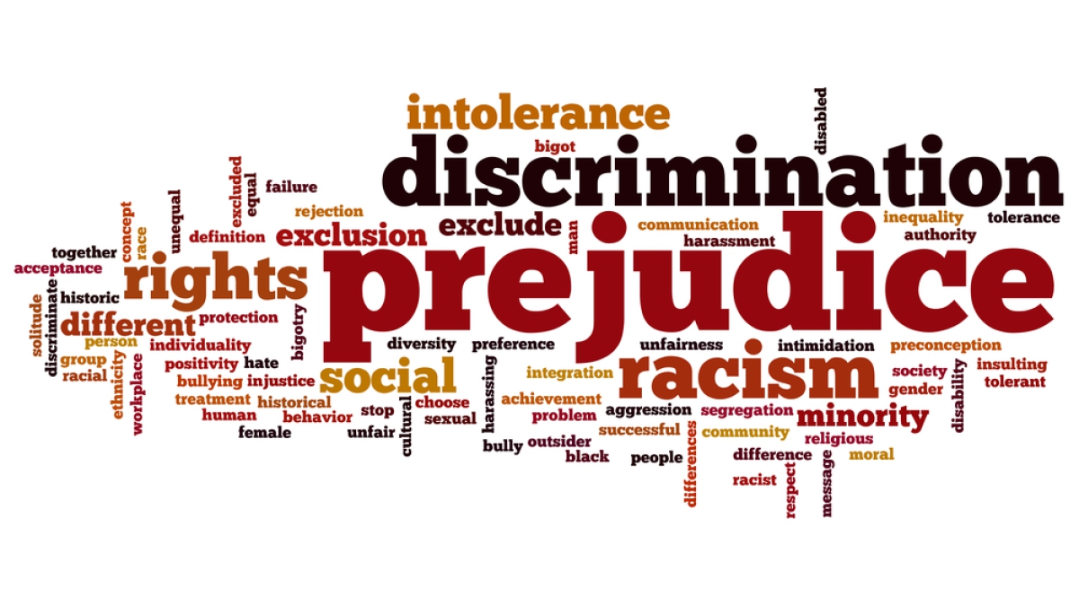 Social Injustice. What is Prejudice. Prejudices. Prejudice in Society.