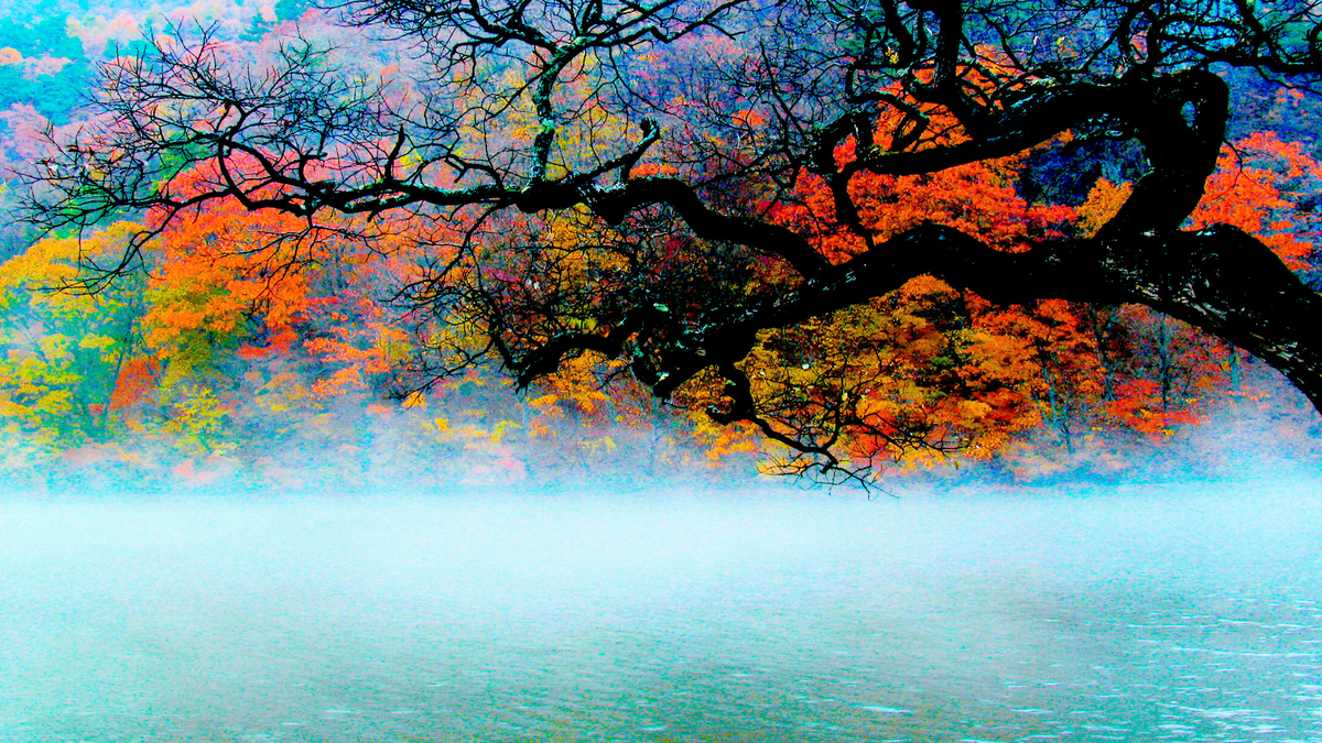 İnsanlar Cennette Sıkılacak mı?