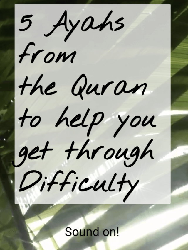 5 Ayas in the Quran to help you through Difficulty
